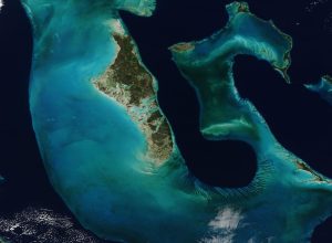 Deep-Sea Expeditions Keep Finding Life Where None Was Expected